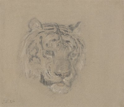 Cabeça de tigre de James Ward