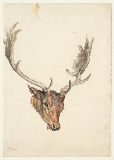 Cabeça de veado de James Ward
