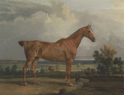 Hunter in a Landscape de James Ward