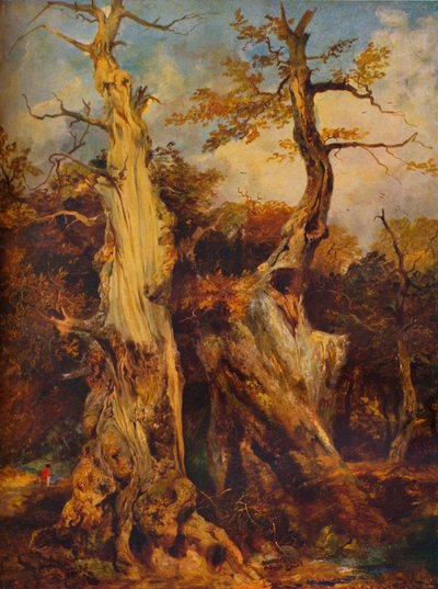 Na floresta, século c19 de James Ward