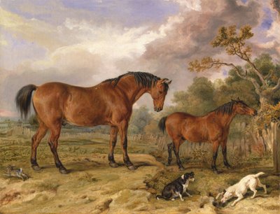 Portrait of Reformer, Blucher, Tory and Crib, the Property of Rowland Alston, Esq., M.P. [1836, Royal Academy of Arts, Londres, catálogo da exposição]. de James Ward
