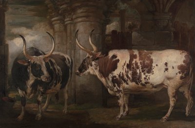 Retratos de Dois Bois Extraordinários, a Propriedade do Conde de Powis de James Ward
