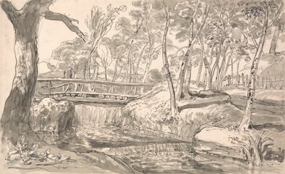 Paisagem fluvial com cascata de James Ward