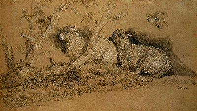 Descanso das Ovelhas num Cobre arborizado e Estudo da Cabeça de Ovelha (giz preto e branco sobre papel cinzento) de James Ward