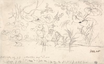 Estudos de Plantas, 2 de Agosto de 1815 de James Ward