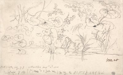 Estudos de Plantas, 2 de agosto de 1815 de James Ward