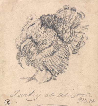 Estudo de uma Turquia de James Ward