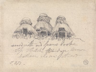 Cabanas de colmo de James Ward
