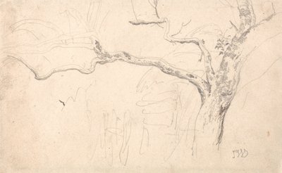 Estudo de árvores de James Ward