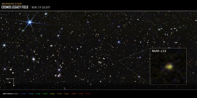 Galáxia MoM-z14 do campo COSMOS (imagem da NIRCam) de James Webb Space Telescope (NASA)