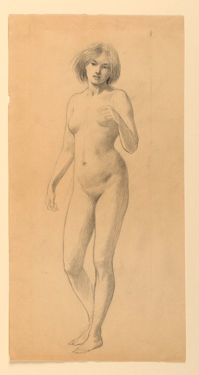 Nu feminino em pé de James Wells Champney