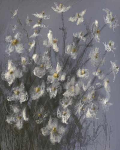 Flores brancas de sonho de James Zamora
