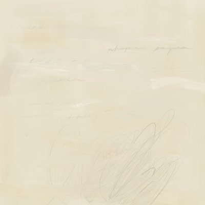 Escrita abstrata esbatida de James Zamora