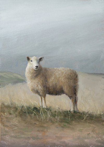 Ovelhas de pastoreio de James Zamora