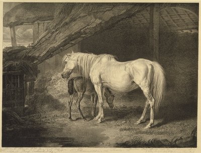 Primrose and Foal, de Celebrated Horses, um conjunto de catorze impressões de corrida publicadas pelo artista, 1823-24 de James after Ward