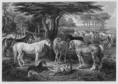 O Conselho dos Cavalos, da foto na Galeria Vernon de James after Ward