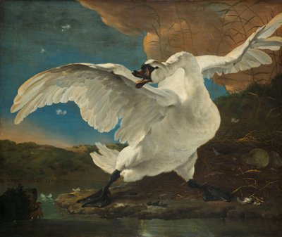 O Cisne Ameaçado O Cisne Ameaçado; Interpretado mais tarde como uma alegoria em Johan de Witt de Jan Asselijn