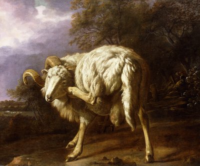 Um Carneiro em uma Paisagem Arborizada, de Jan Baptist Weenix