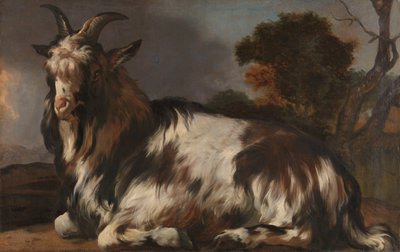 Cabra deitada de Jan Baptist Weenix