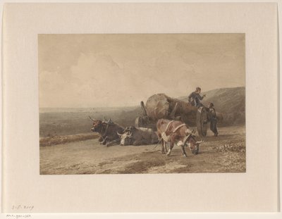 bois descansando de Jan Bedijs Tom