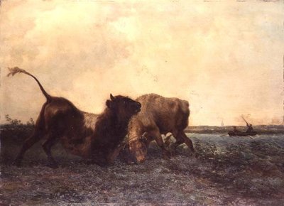 Luta de touros de Jan Bedys Tom