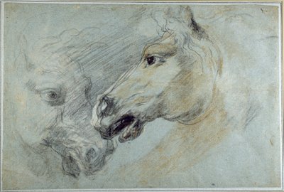 Dois estudos da cabeça de um cavalo (gizes pretos, brancos e castanhos sobre papel azul) de Jan Boeckhorst