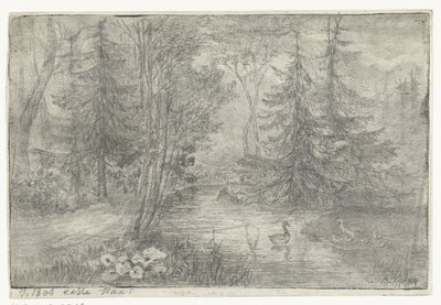 Lagoa da floresta com patos de Jan Bos Wz. (signed by artist)