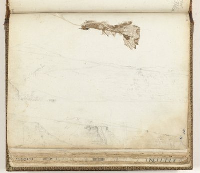 Baía de Santa Helena, folha seca de Jan Brandes