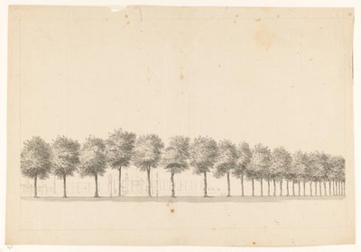 Bomenallee em Batávia de Jan Brandes