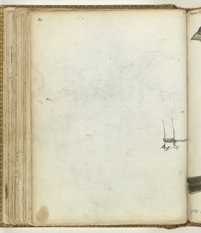 Árvore com corda de Jan Brandes