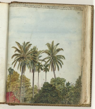 Vista da janela de Jan Brandes