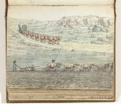 Equipa de bois para carroça coberta e para charrua de Jan Brandes