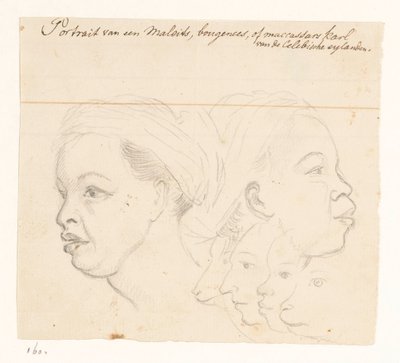 Retrato de um Buginese Retrato de um malaio, Bougeen ou Maccassars karl do Celebische eylanden. (título no objeto) de Jan Brandes