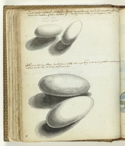 Ovos de tartaruga e cobra de Jan Brandes