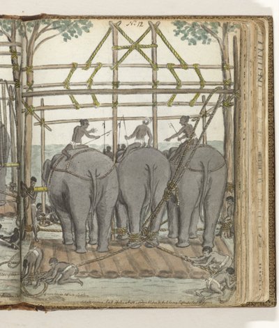 Domar um Elefante Selvagem no Estábulo Temporário, vista traseira de Jan Brandes