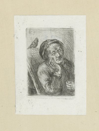 Slapende oude man conheceu vogel The Compleat Work of Etchings por John Chalon / Oeuvre Complette des Eaux Fortes par Jean Chalon (título da série) de Jan Chalon
