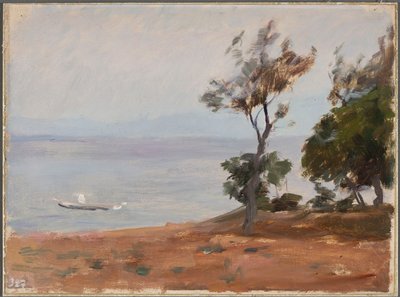 Paisagem. De uma viagem a Constantinopla de Jan Ciągliński