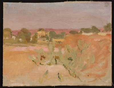 Rosa Landschaft mit Kakteen. Aus einer Reise nach Indien de Jan Ciągliński
