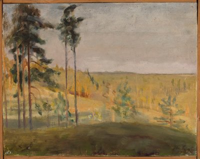 Terioki - Finlândia de Jan Ciągliński