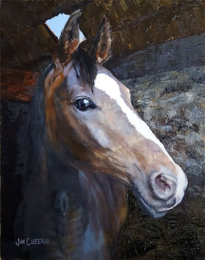 Cavalo à luz do estábulo de Jan Clizer