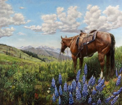 Cavalo num pasto de montanha de Jan Clizer