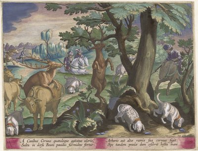 Caça ao veado com cães
Cenas de caça (título da série)
Venationes Ferarum, auium, piscium pvgnae Bestiariorum (título da série) de Jan Collaert