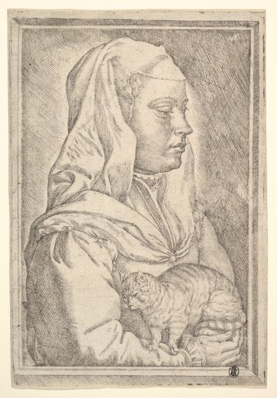 Menina com um gato, 1546. de Jan Cornelisz Vermeyen