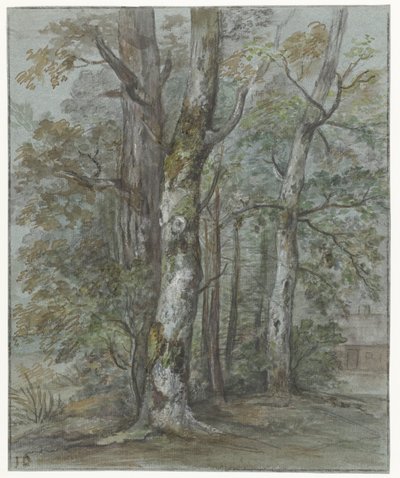Estudo das árvores de Jan Dasveldt