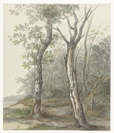 paisagem da floresta de Jan Dasveldt