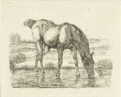 Cavalo para beber de Jan Dasveldt