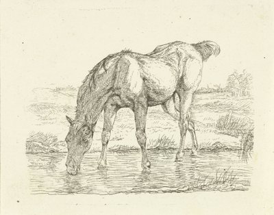 Cavalo para beber de Jan Dasveldt
