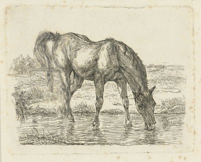 Cavalo bebendo de Jan Dasveldt