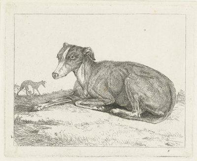 Greyhounds de Jan Dasveldt