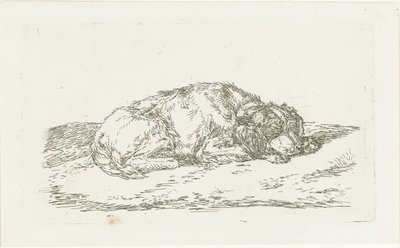 Cão dormindo com a cabeça apoiada nas patas dianteiras de Jan Dasveldt